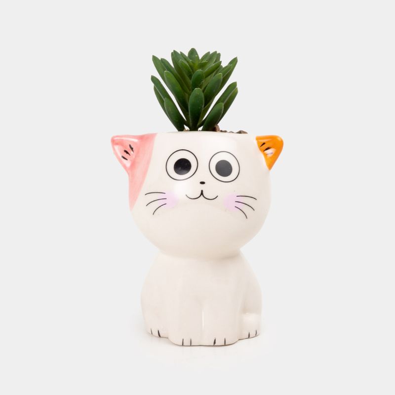 planta-artificial-de-14-3-cm-suculenta-con-maceta-de-gato-7701016894982