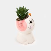 Planta artificial de 14.3 cm suculenta con maceta de gato