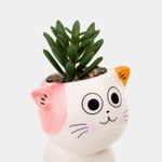 planta-artificial-de-14-3-cm-suculenta-con-maceta-de-gato-3-7701016894982