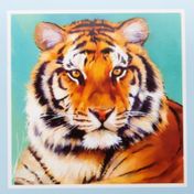 Kit pintura de diamante diseño tigre