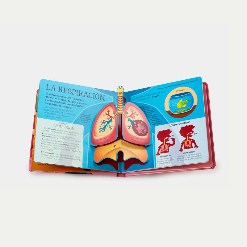 cuerpo-humano-pop-up-4-9788466243230
