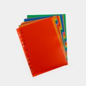 Guía clasificadora A4 multicolor con números x 31 unidades