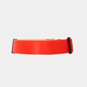 Collar ajustable para perro
