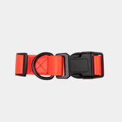 Collar ajustable para perro