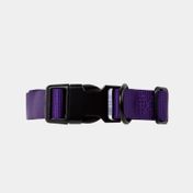Collar ajustable para perro, morado