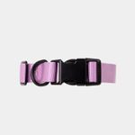 collar-ajustable-para-perro-lila-2-7701016749305