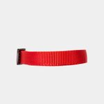 collar-ajustable-para-perro-roja-7701016749312