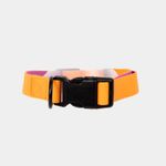 collar-ajustable-para-perro-anaranjado-con-morado-2-7701016749374