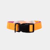 Collar ajustable para perro, naranja