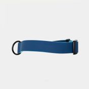 Collar ajustable para perro, azul