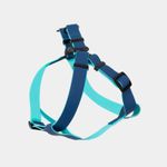 arnes-para-perro-azul-con-turquesa-7701016749206
