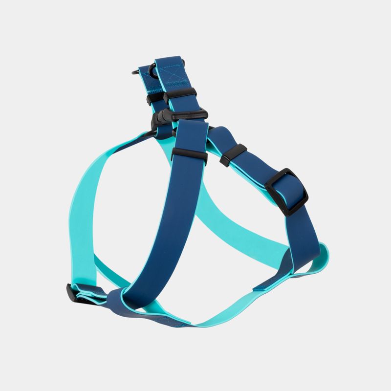 arnes-para-perro-azul-con-turquesa-7701016749206