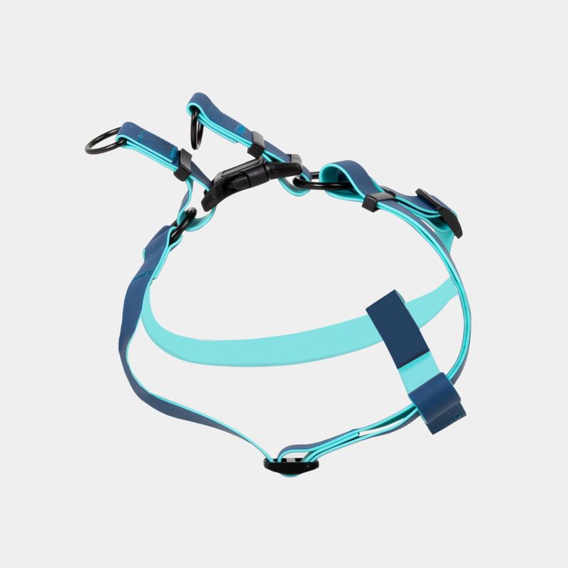 arnes-para-perro-azul-con-turquesa-2-7701016749206