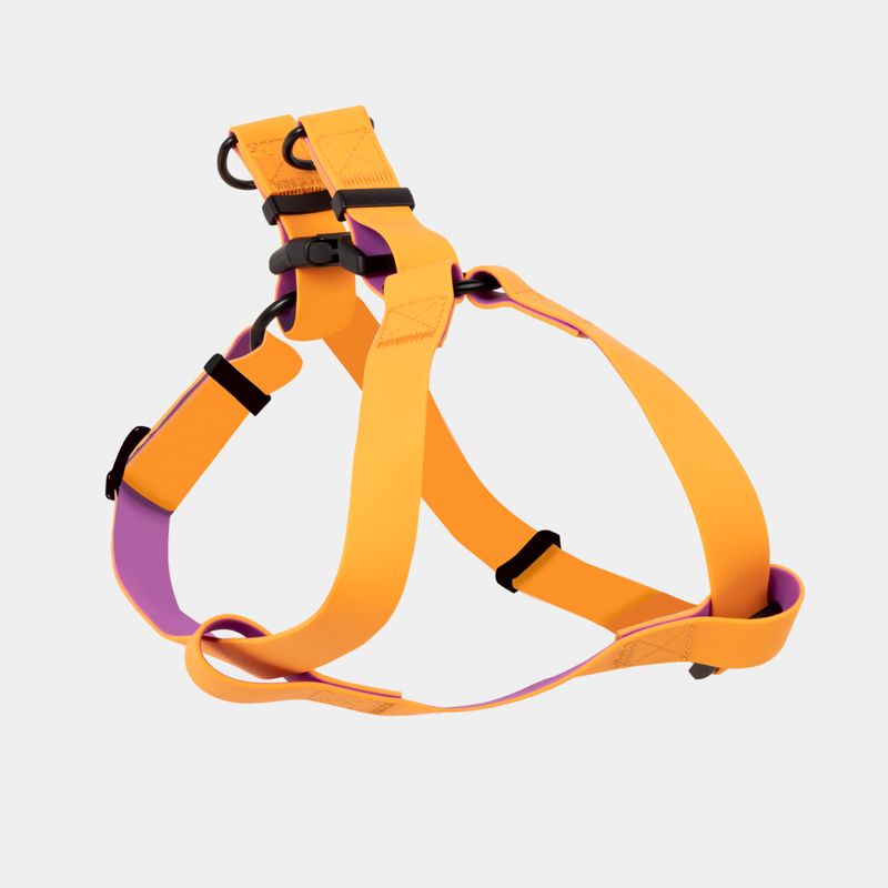 arnes-para-perro-anaranjado-con-morado-7701016749220