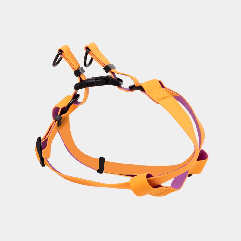 arnes-para-perro-anaranjado-con-morado-2-7701016749220