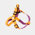 arnes-para-perro-anaranjado-con-morado-3-7701016749220