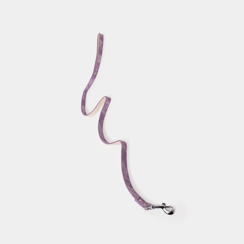 correa-para-perro-120-x-1-5-cm-morada-con-beige-3-7701016849449