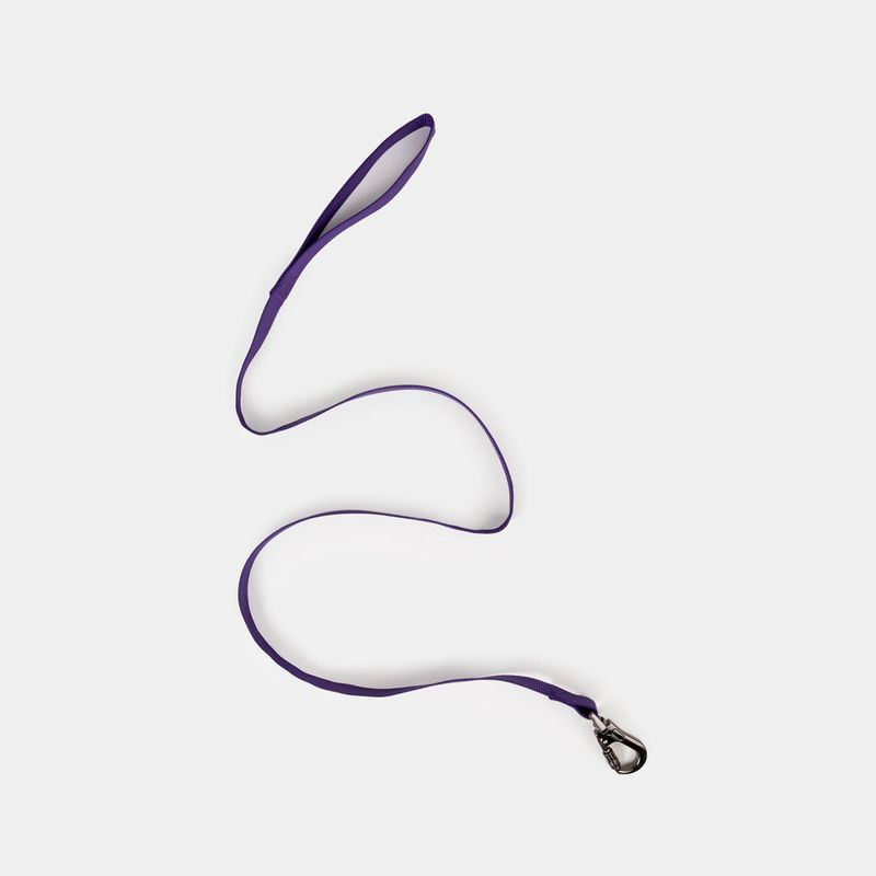 correa-para-perro-120-x-2-5-cm-morada-2-7701016849470