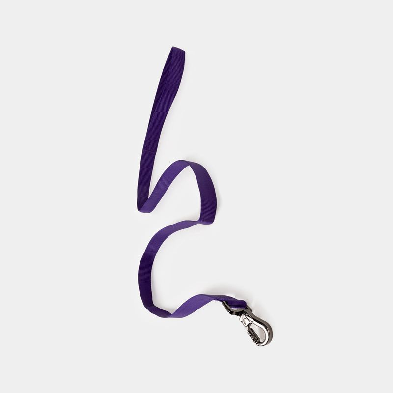 correa-para-perro-120-x-2-5-cm-morada-3-7701016849470