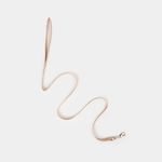 correa-para-perro-120-x-1-5-cm-beige-2-7701016849487