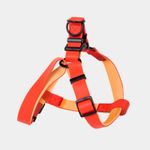 arnes-para-perro-rojo-con-beige-3-7701016947893