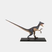 Modelo anatómico 4D velociraptor x 29 piezas