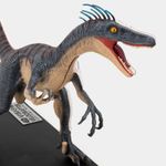 modelo-anatomico-4d-velociraptor-x-29-piezas-5-4894793230036