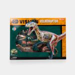 modelo-anatomico-4d-velociraptor-x-29-piezas-6-4894793230036