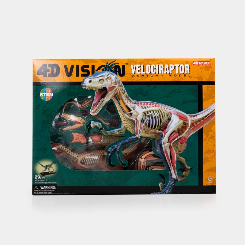 modelo-anatomico-4d-velociraptor-x-29-piezas-6-4894793230036