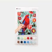 Kit de pintura por números pájaro rosella