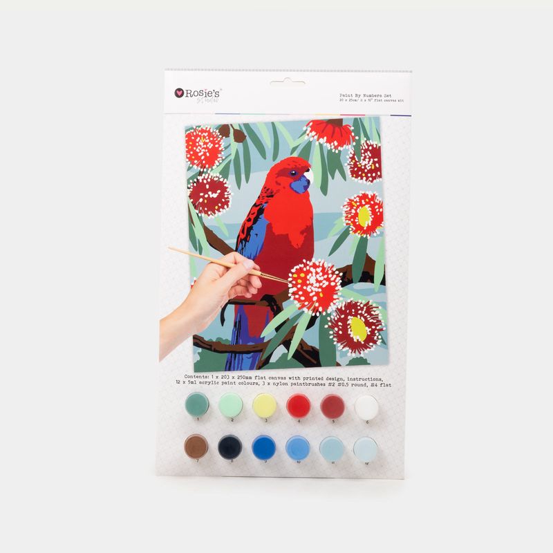 kit-pintura-para-pintar-por-numero-diseno-pajaro-rosella-9420041675332