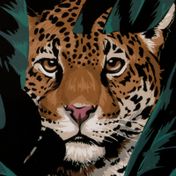 Kit de pintura de diamantes leopardo