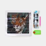 kit-pintura-de-diamante-diseno-leopardo-2-9420041678531