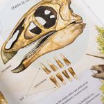 dinosaurios-los-duenos-de-la-tierra-y-otros-animales-prehistoricos-6-9789587960495