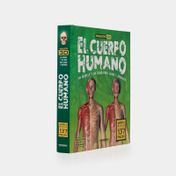 Maquetas 3D - El cuerpo humano