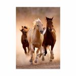 rompecabezas-clementoni-de-1000-piezas-running-horses-8005125391684