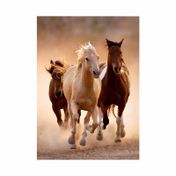 Rompecabezas Clementoni de 1000 piezas - Running Horses