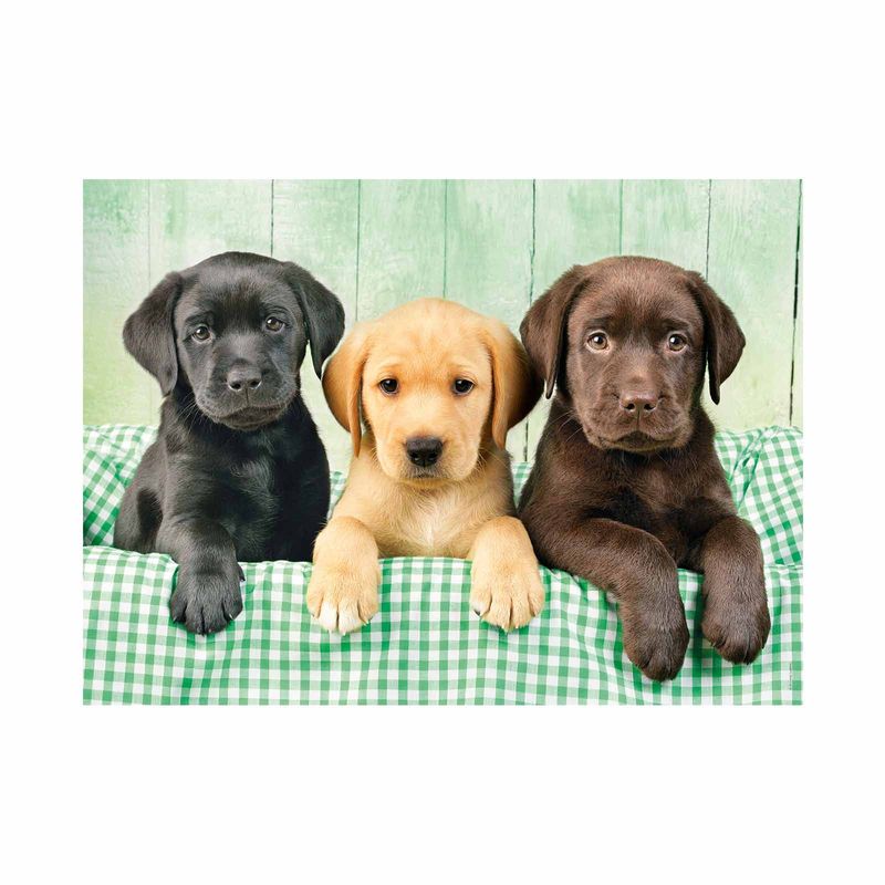 rompecabezas-clementoni-de-1000-piezas-tres-labradores-8005125392797