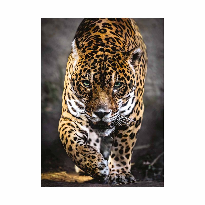 rompecabezas-clementoni-de-1-000-piezas-walk-of-the-jaguar-8005125393268