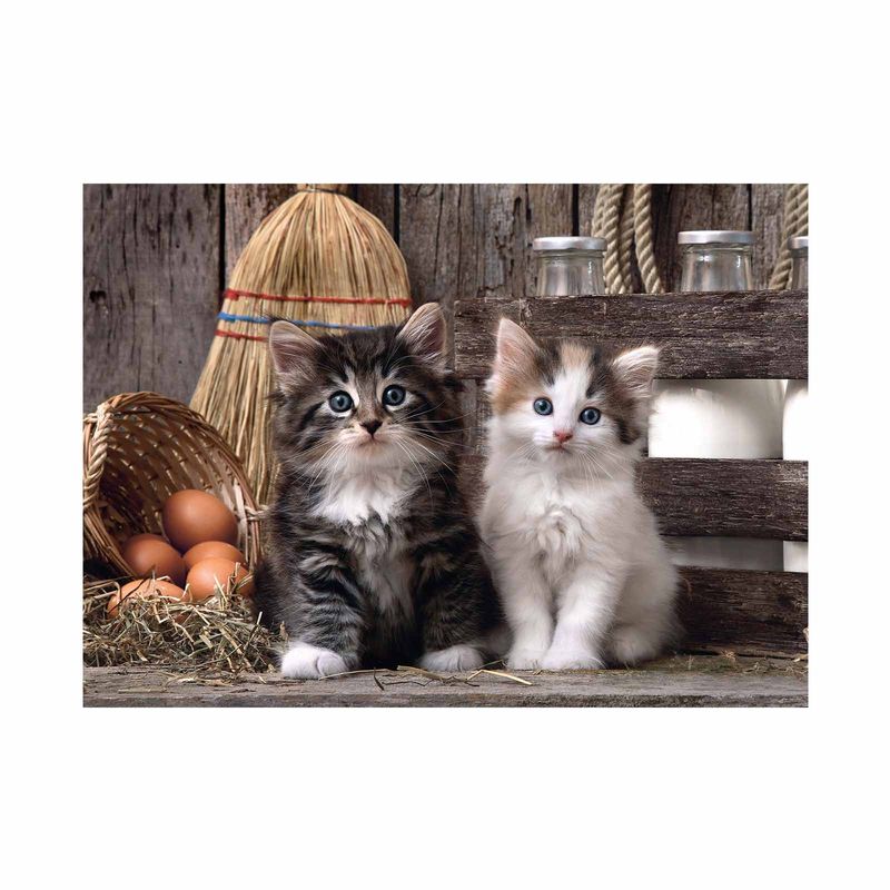 rompecabezas-clementoni-de-1000-piezas-lovely-kittens-8005125393404