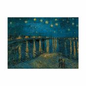 Rompecabezas de 1000 piezas Starry Night on the Rhone