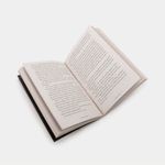 wings-of-fire-book-1-the-dragonet-prophecy-4-9781338883190