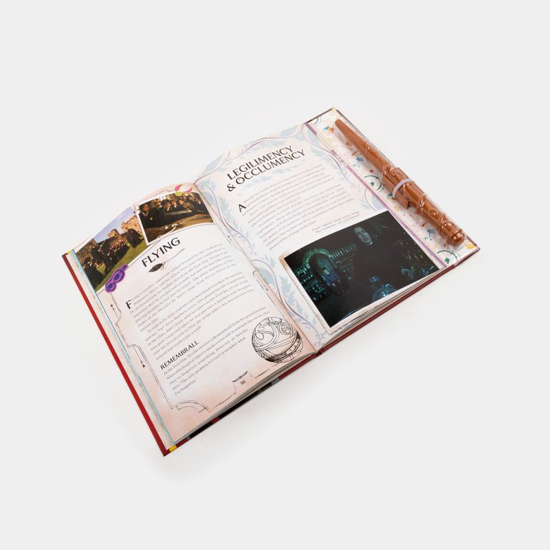 harry-potter-spell-and-potion-book-4-9781339044866