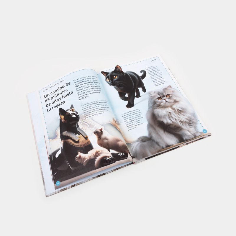 el-manifico-libro-de-los-gatos-5-9789587961508