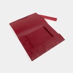 carpeta-de-seguridad-carta-vinotinto-3-7897832894333