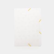 Carpeta de seguridad carta blanca