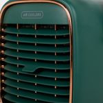 ventilador-enfriador-de-aire-verde-3-7701016976039