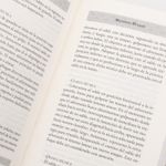 el-libro-de-los-cinco-anillos-5-9788410233027