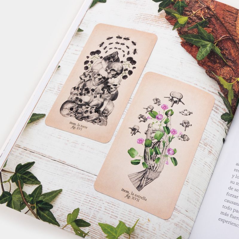 el-tarot-de-anatomia-y-botanica-antiguas-6-9789463594028