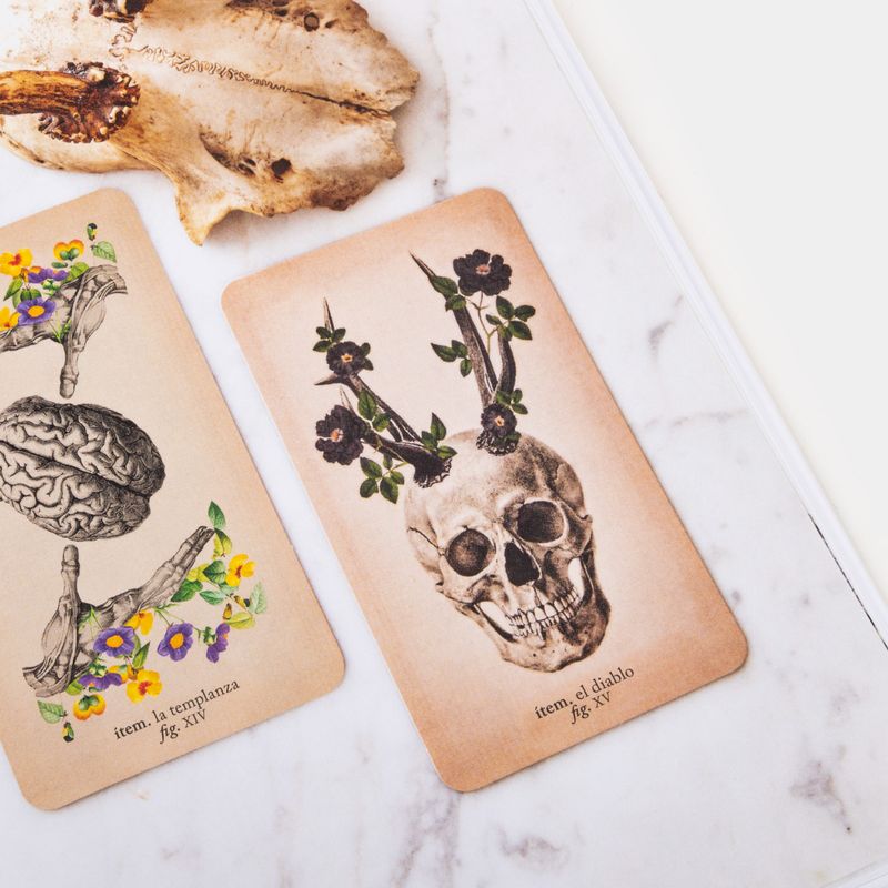 el-tarot-de-anatomia-y-botanica-antiguas-7-9789463594028